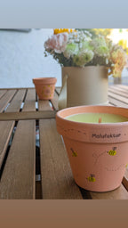 Citronella Kerzen